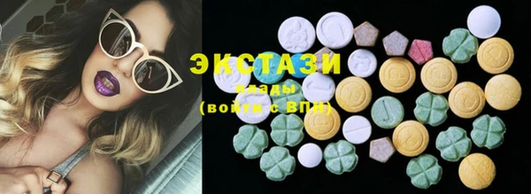 ECSTASY Алзамай