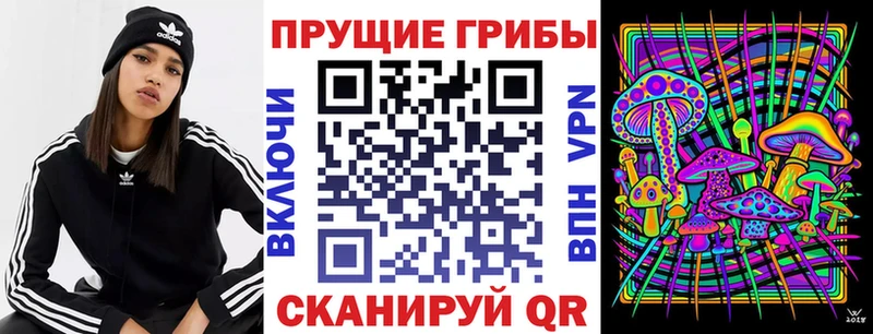 Галлюциногенные грибы Psilocybe  ссылка на мегу ТОР  Слюдянка 