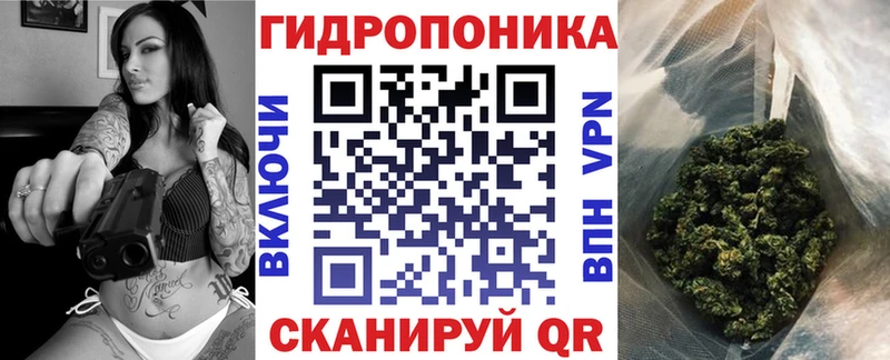 shop как зайти  дарнет шоп  Слюдянка  Конопля гибрид 